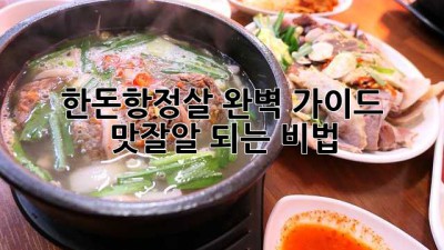한돈항정살🍖 완벽 가이드: 맛잘알 되는 비법!