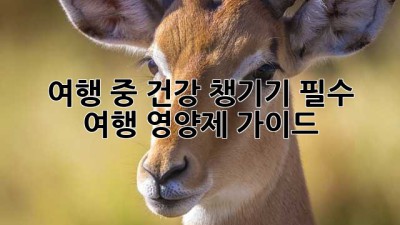 여행 중 건강 챙기기: 필수 여행 영양제 가이드